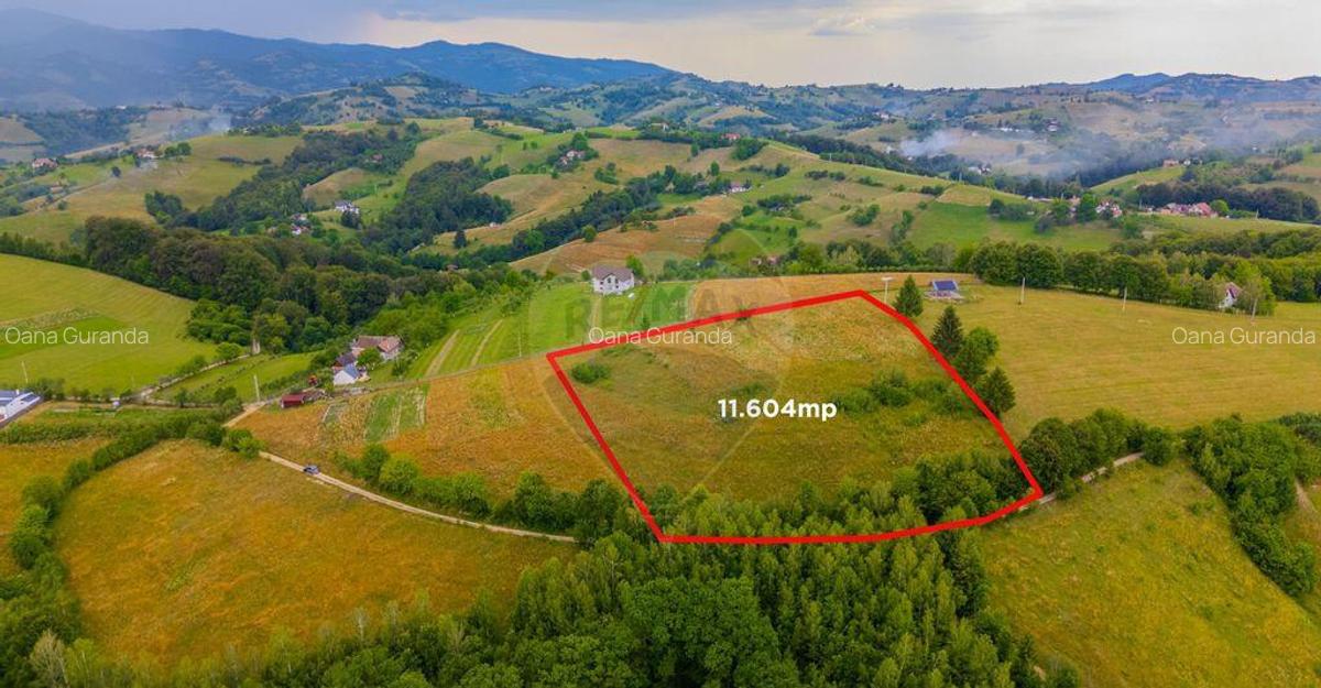 Comision 0 %/Teren intravilan 11.600mp Poiana Marului / N... - 1