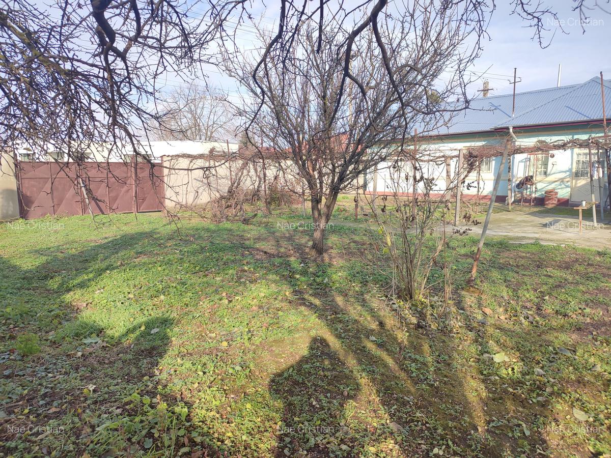 Teren Generos de 1160 mp cu Potențial  în Afumați – Deschidere Stradala 26m - 5