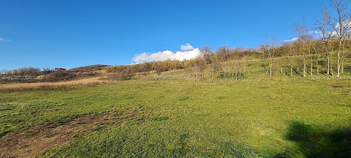 Teren intravilan\constructii \Sura Mare \ Sibiu - 5