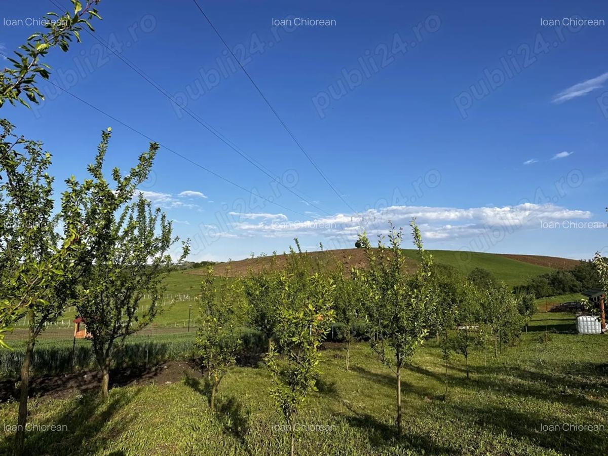 Casa de vacan?a in Ludu? (zona Candarai) loca?ie excelenta intre Cluj-Napoca ?i Targu-Mure? - 9