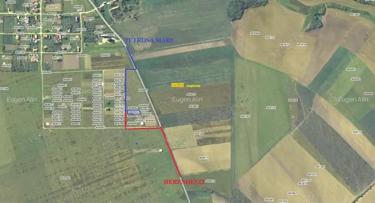 CASA NOUA la 10 km de Lugoj - 6
