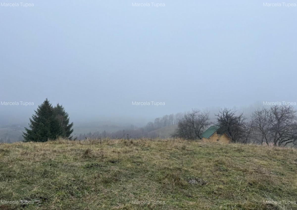 Teren Poiana Marului -Zarnesti -Brasov - 10