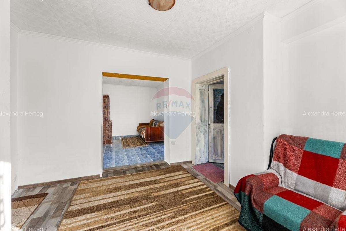 Casa cu 5 camere in Barzava - 11