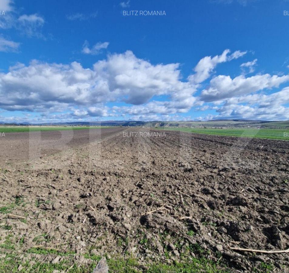 Teren Extravilan 15000 mp- parcelat in 3 loturi Bod- 5000 mp - 5