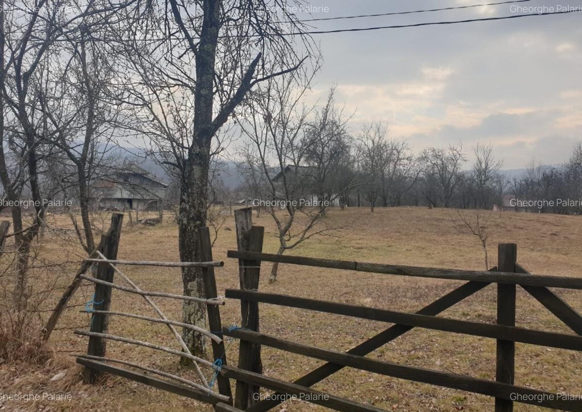 Vand teren 2911mp intravilan, sat Brebu, jud. Dambovita - 7