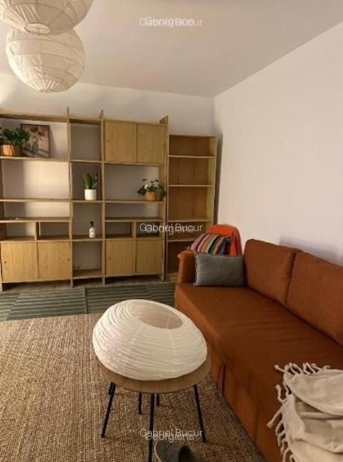Inchiriere Apartament 2 Camere Decomandat Brancoveanu-Paduroiu - 9