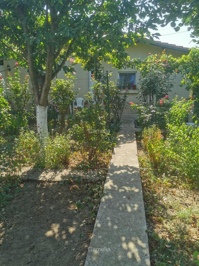 Casa locuibila,  din caramida, gaze,teren 360 mp cu deschidere 18, Palas - 11