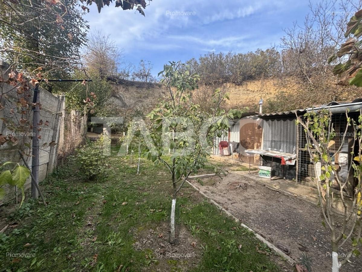 Casa individuala 150mp utili Sura Mare zona deosebita - 22
