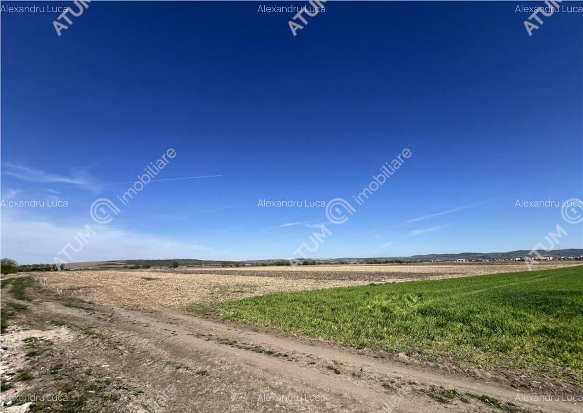 Teren intravilan de 8150 mp situat in Sibiu zona Calea Surii - 2
