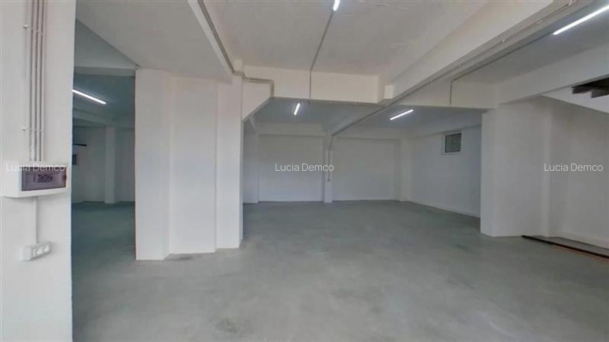 Spațiu comercial, 650 mp în Central - 3