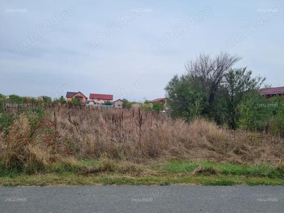 Vanzare Teren Rezidential 1Decembrie Ilfov 2400mp - 5