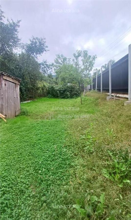 Casa de in Saliste aproape de Transalpina - 8