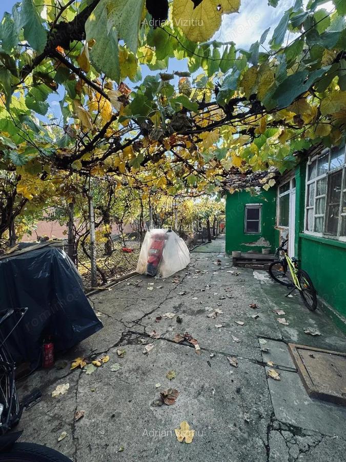 AV661 CHIRIE- Casa individuala, pe parter, Pischia, zona linistita - 18