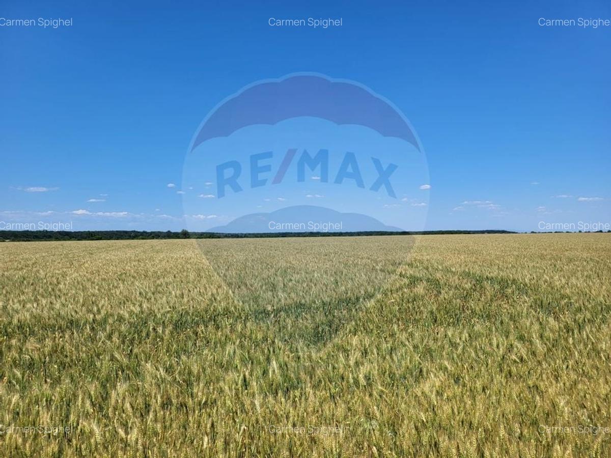 Teren intravilan 30,000mp Corbeanca P+1+E2 - 2