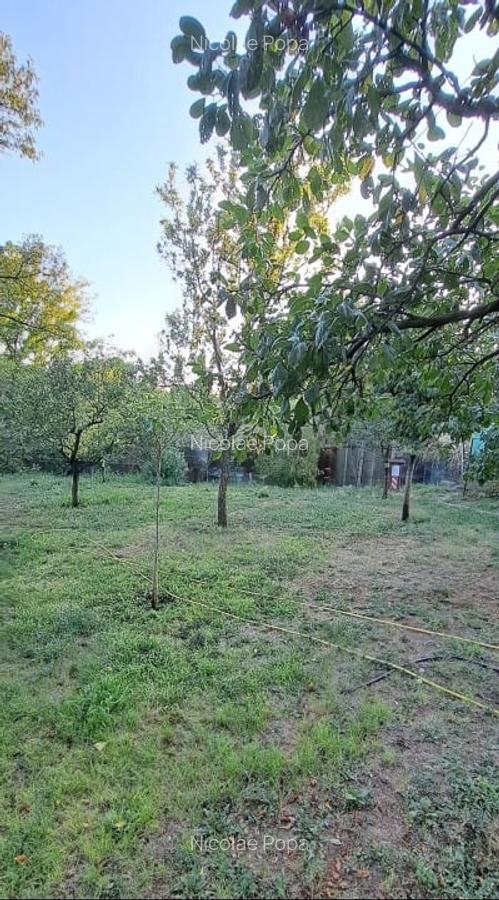 Gospodarie (casa si teren) com. Gura Vadului, Prahova - 10