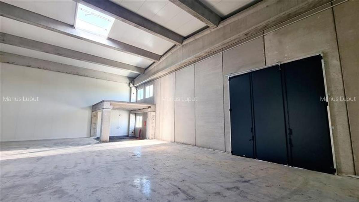Spatiu industrial, 1050 mp, Timisoara exterior NORD - 3