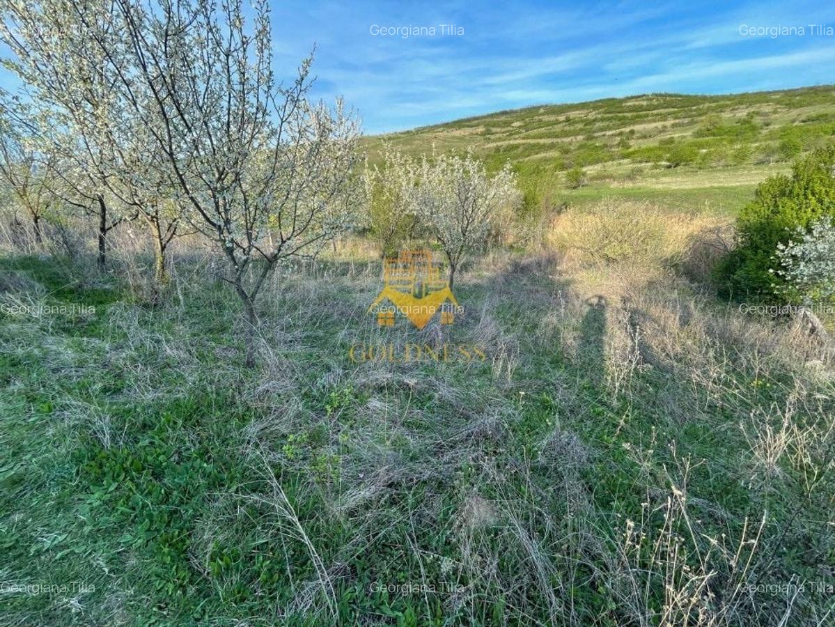 Teren agricol intravilan de 5500 mp, în Sopor - 6