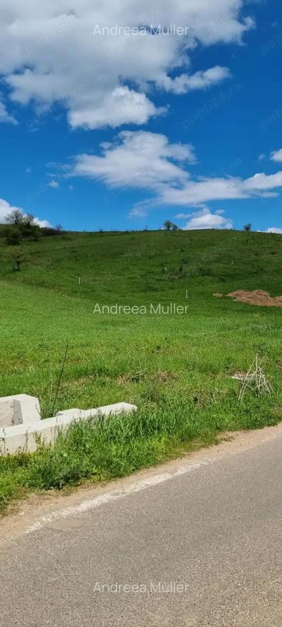 Teren zona com. Sanpaul, jud. Cluj - 4