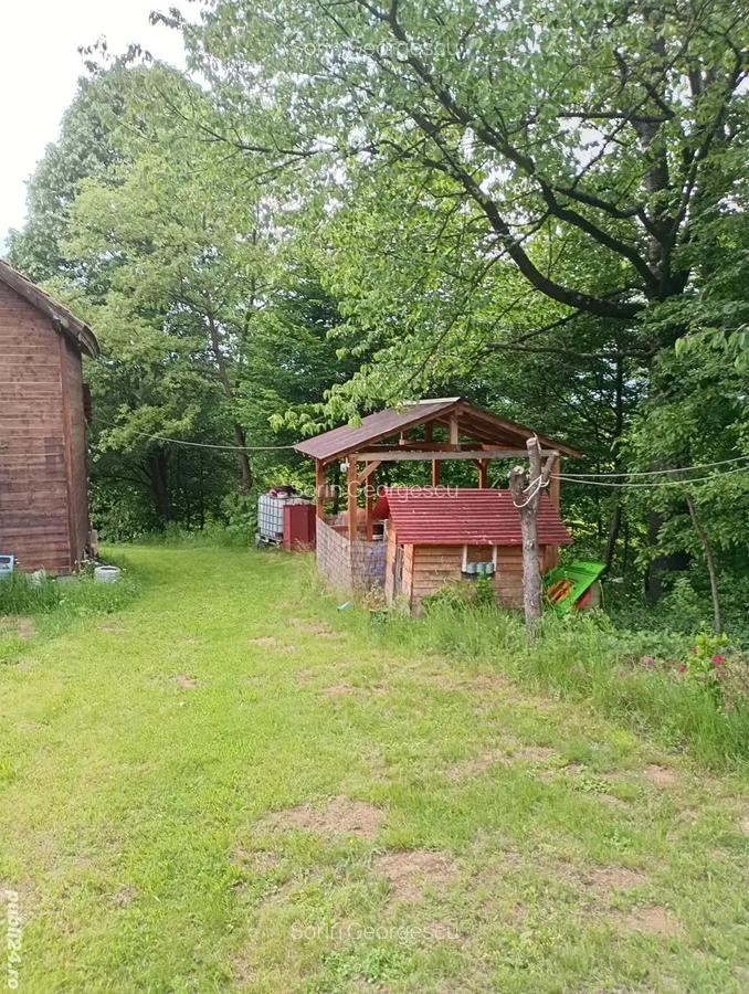 Vand teren si cabana - 10