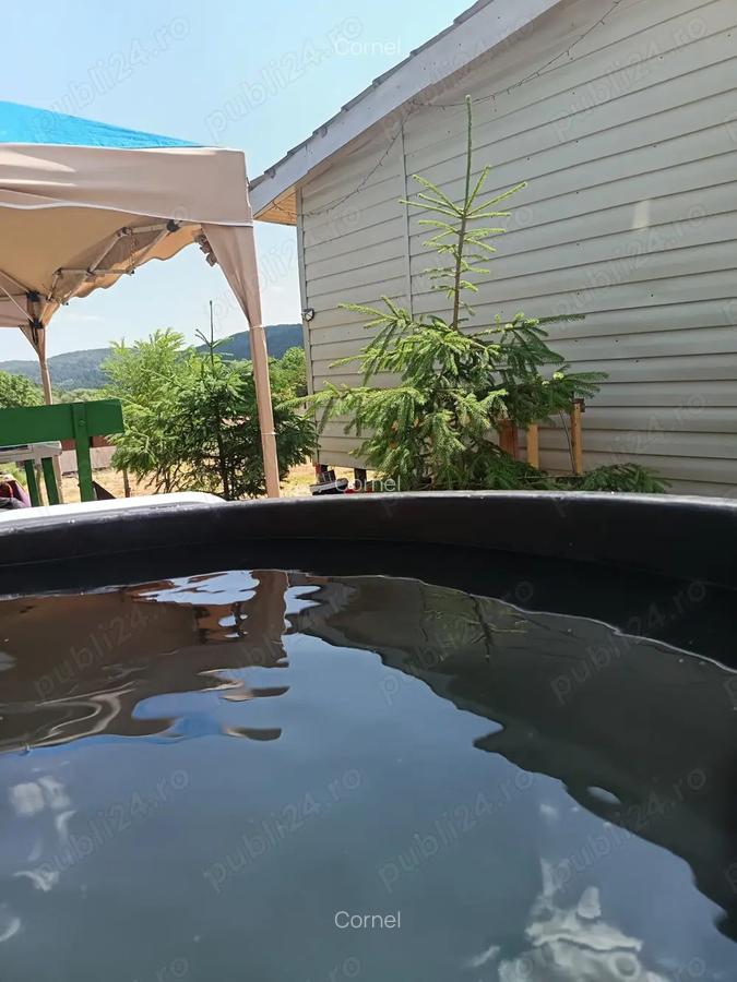 Vind cabana de vacanta in jud.Arges - 2