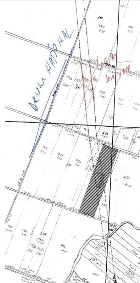 Teren industrial / extravilan în zona COLA – Timișoara - 5