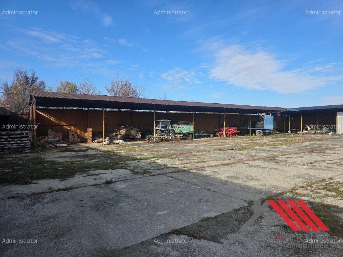 Cheveresul Mare – Platforma betonata, Hala - 5