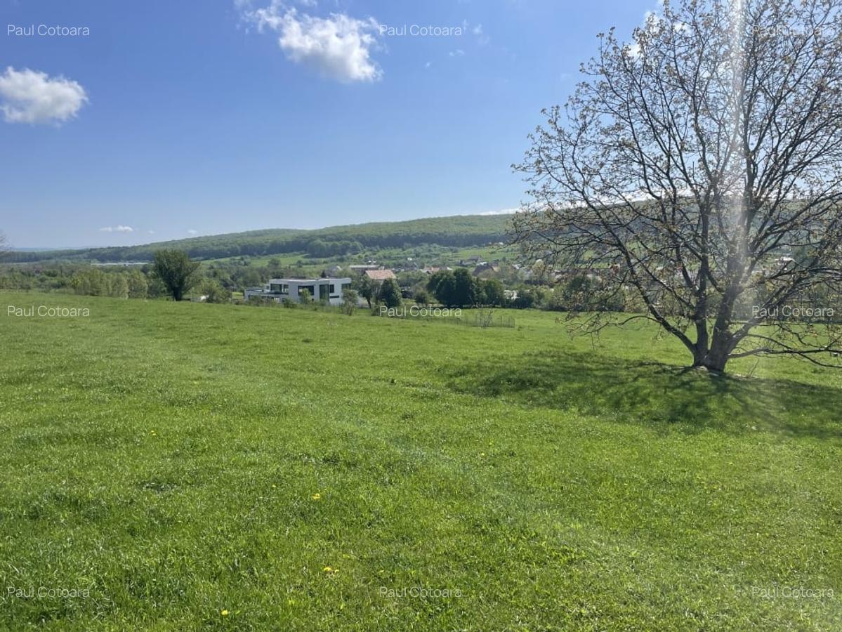 Teren Extravilan ,2386 mp, oportunitate de investitie - 2