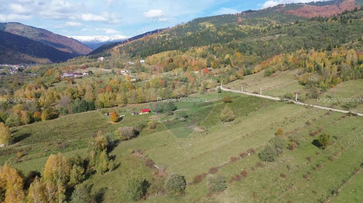Teren de vanzare in Leresti - ideal pentru casa sau pensiune la munte - 11