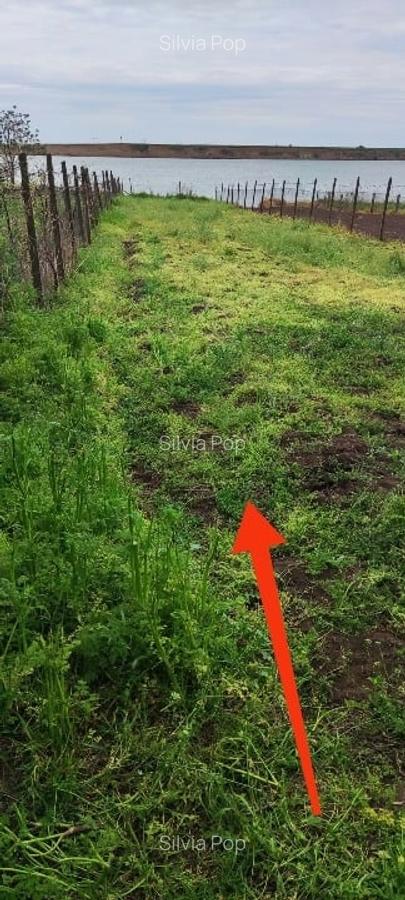 Casă  lac Galațui 5 camere 2600mp 2 bai terasa - 2 Casă  lac Galațui 5 camere 2600mp 2 bai terasa - 2