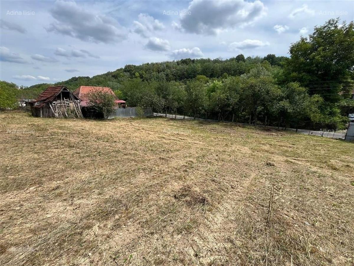 RECO Casa batraneasca cu teren generos la Lupoaia -Holod - 20