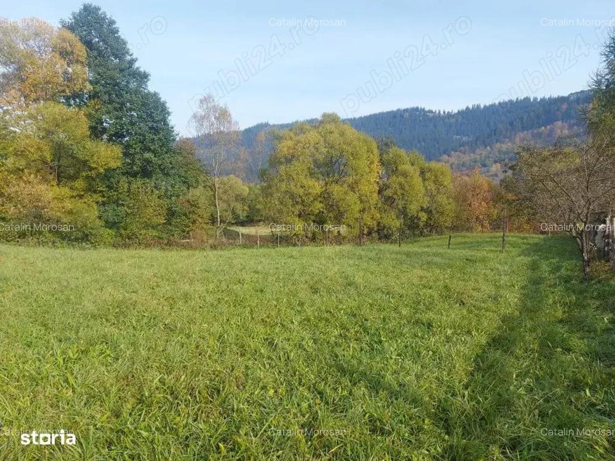 Spre vanzare proprietate 4688 mp in Campulung Moldovenesc - 9