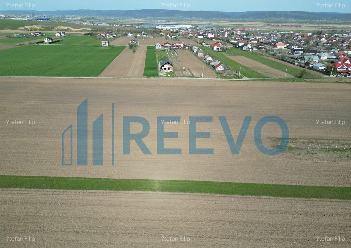 Teren de vanzare, Com. Nicolae Balcescu, Jud. Bacau - 20 Teren de vanzare, Com. Nicolae Balcescu, Jud. Bacau - 20