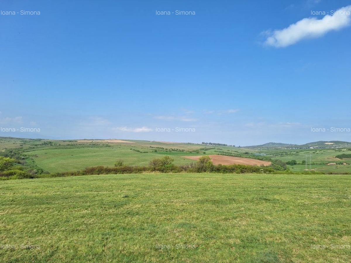 Parcele teren pentru cabane Sibiu -Dealul Daii -Casolt,  direct de la proprietar - 8