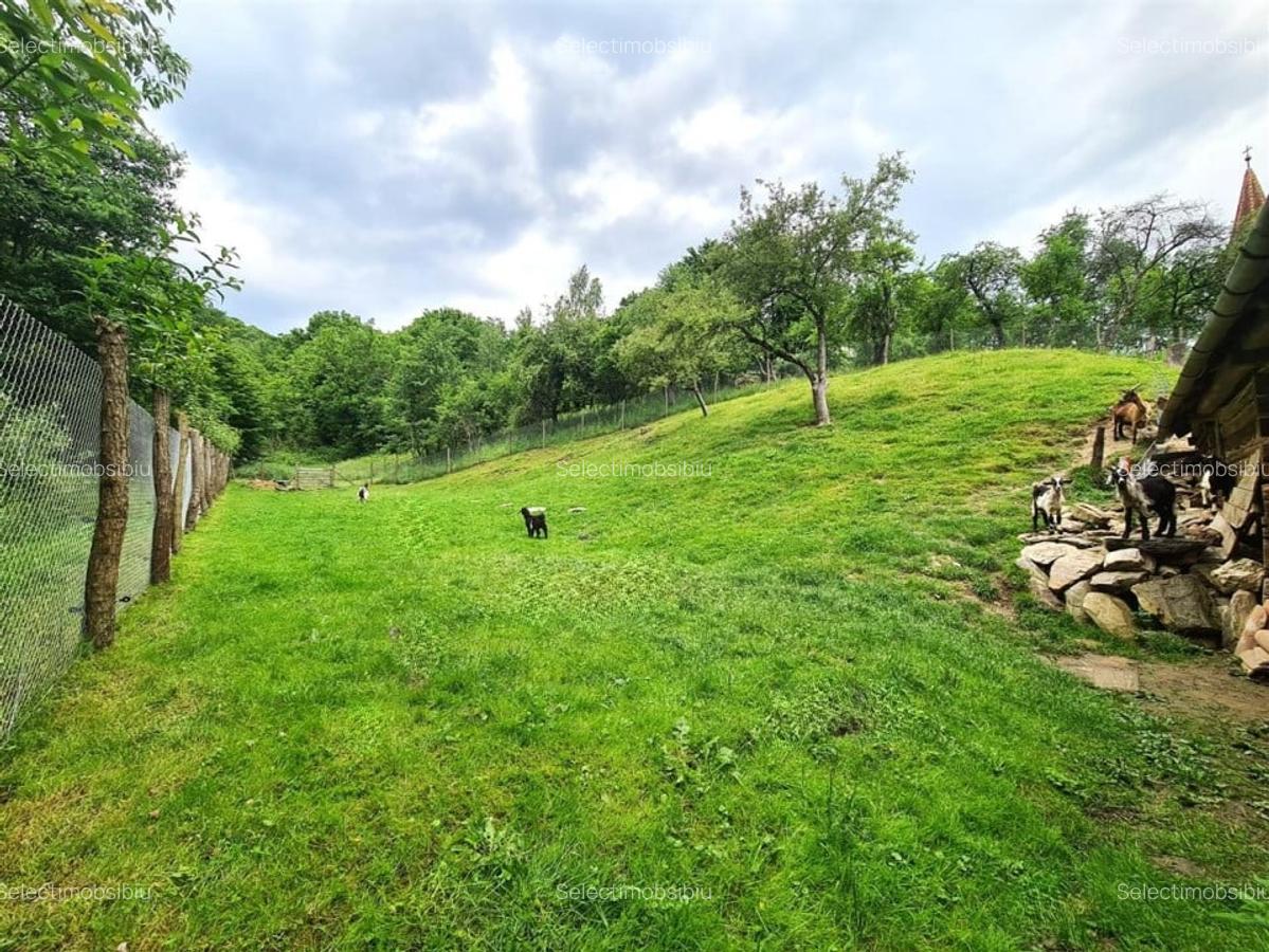 Casa deosebita \ vanzare \ Marginimea Sibiului \ Fantanele - 8