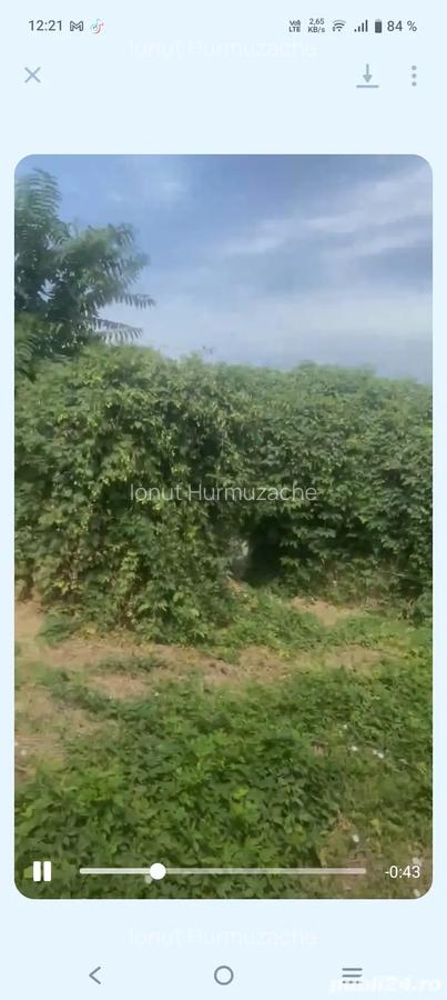 2 case 8 camere 1700m2 - 6