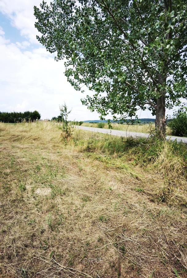 Teren intravilan cu acces asfaltat, situat între Săliște și Sibiel, la 300 m de - 5