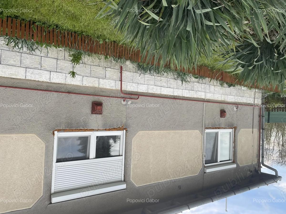 Case Mare de Vanzare cu 3 Camere - 4