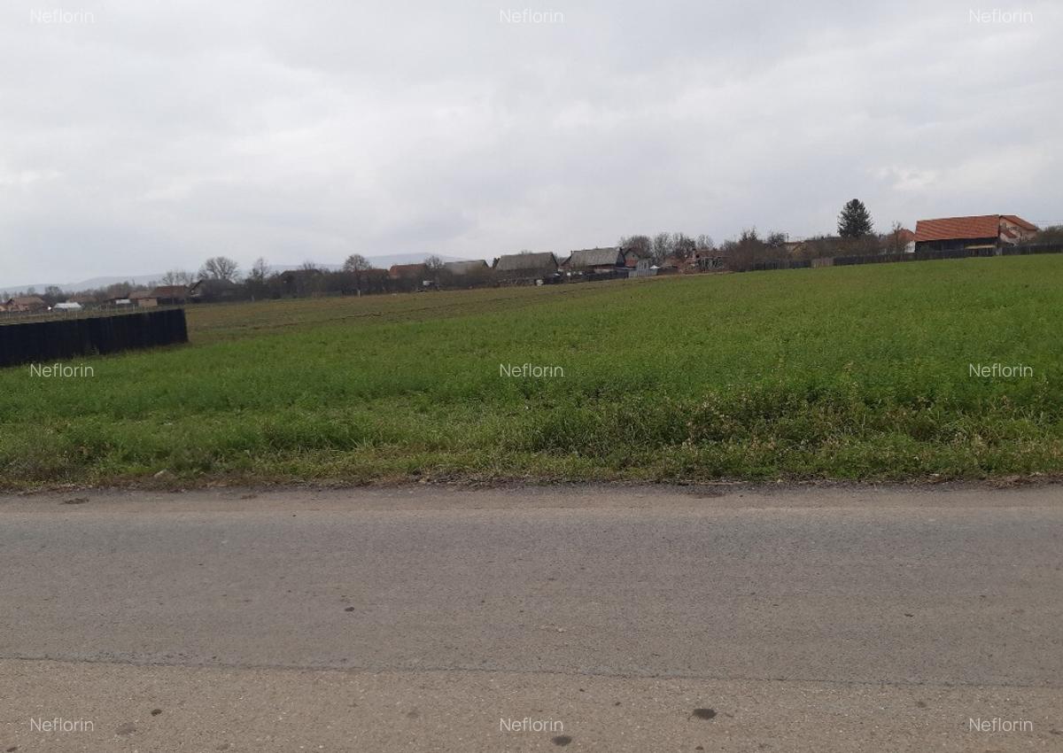 Vanzare teren intravilan construibil Lunca Calnicului - 5