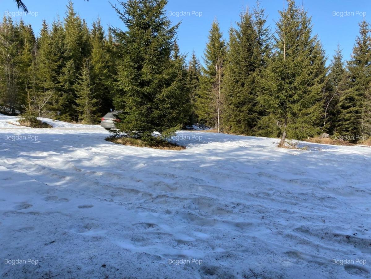 Teren 5000 mp in Baisoara, langa pensiunea Skiland si cabana Merlin! - 1