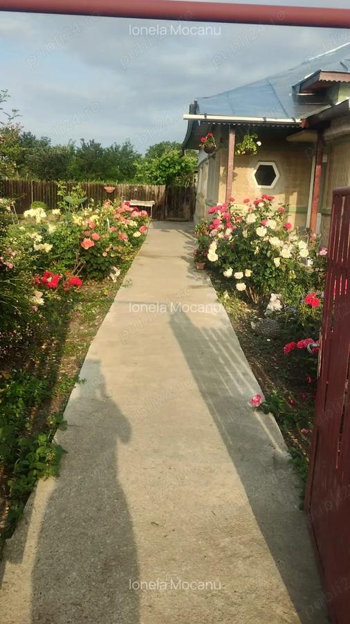 Casa de vanzare Zanoaga Jud.Prahova - 9