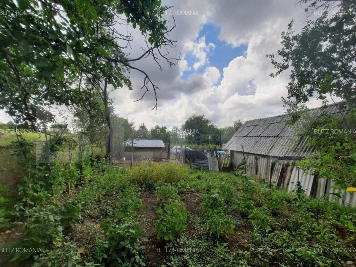 Anexa cu teren  5000mp, langa padure, Dobrovat - 2