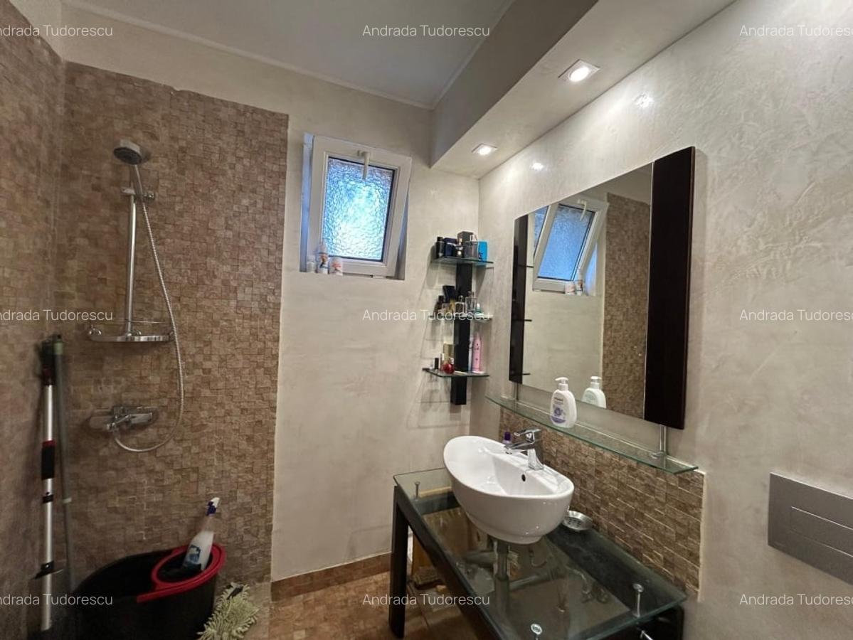 Casa P+1+M, 370 MP teren, 225 MP utili, Central - 10