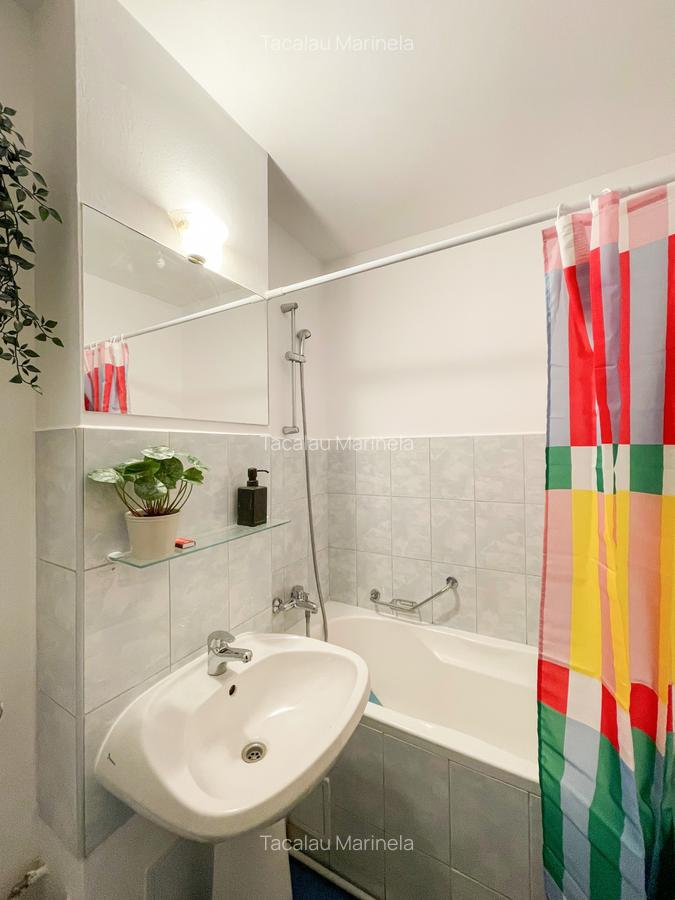 Garsoniera disponibila zona Piata Victoriei / Banu Manta - 20