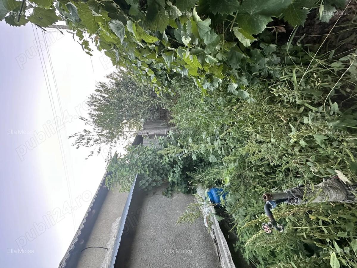 Vand casa batraneasca - 5 Vand casa batraneasca - 5