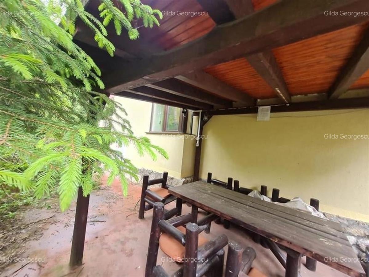 Tur LIVE! Refugiu in ambientul special al statiunii Poiana Brasov - 17