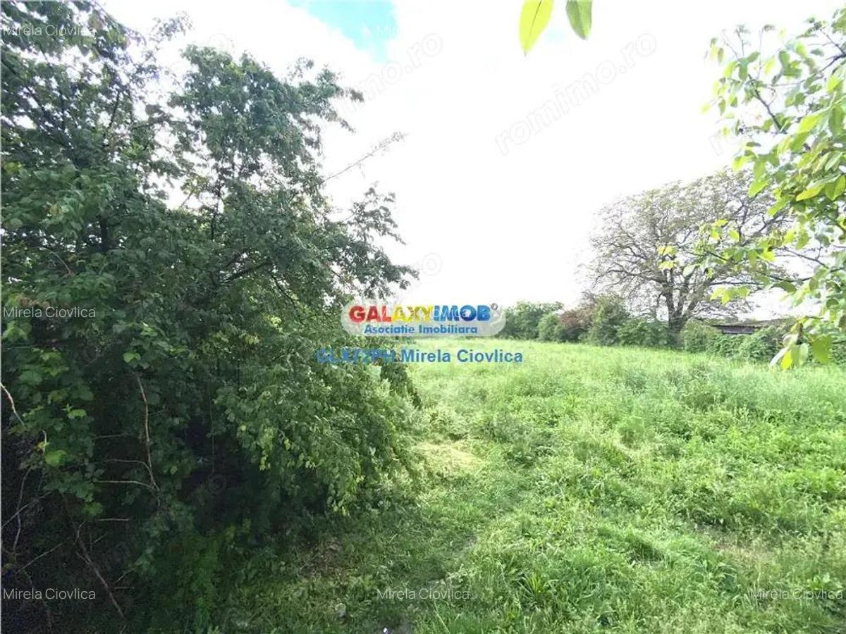 Vanzare teren intravilan Baicoi Prahova - 9