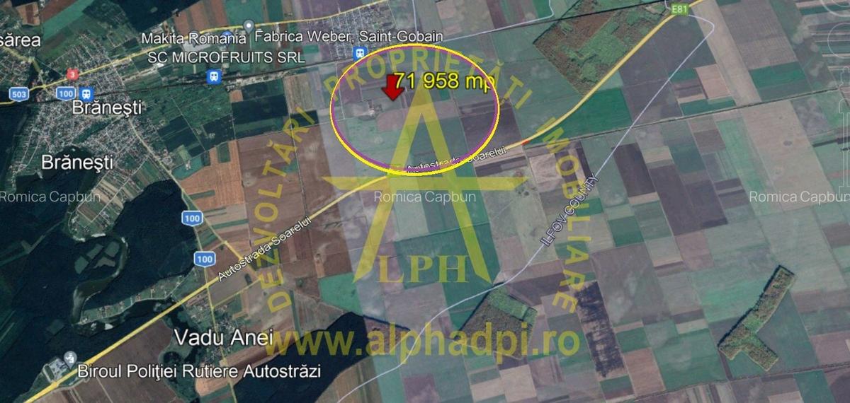 Branesti,72 000 MP Intravilan - 3