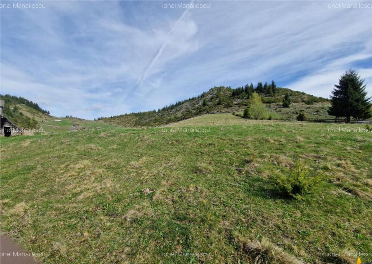 7.000 mp, pozitie spectaculoasa, fara vecini, Fundatica, Bra - 14