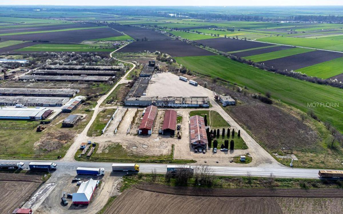 4,2 ha Teren DN7 Nadlac pentru Parc Logistic - 7