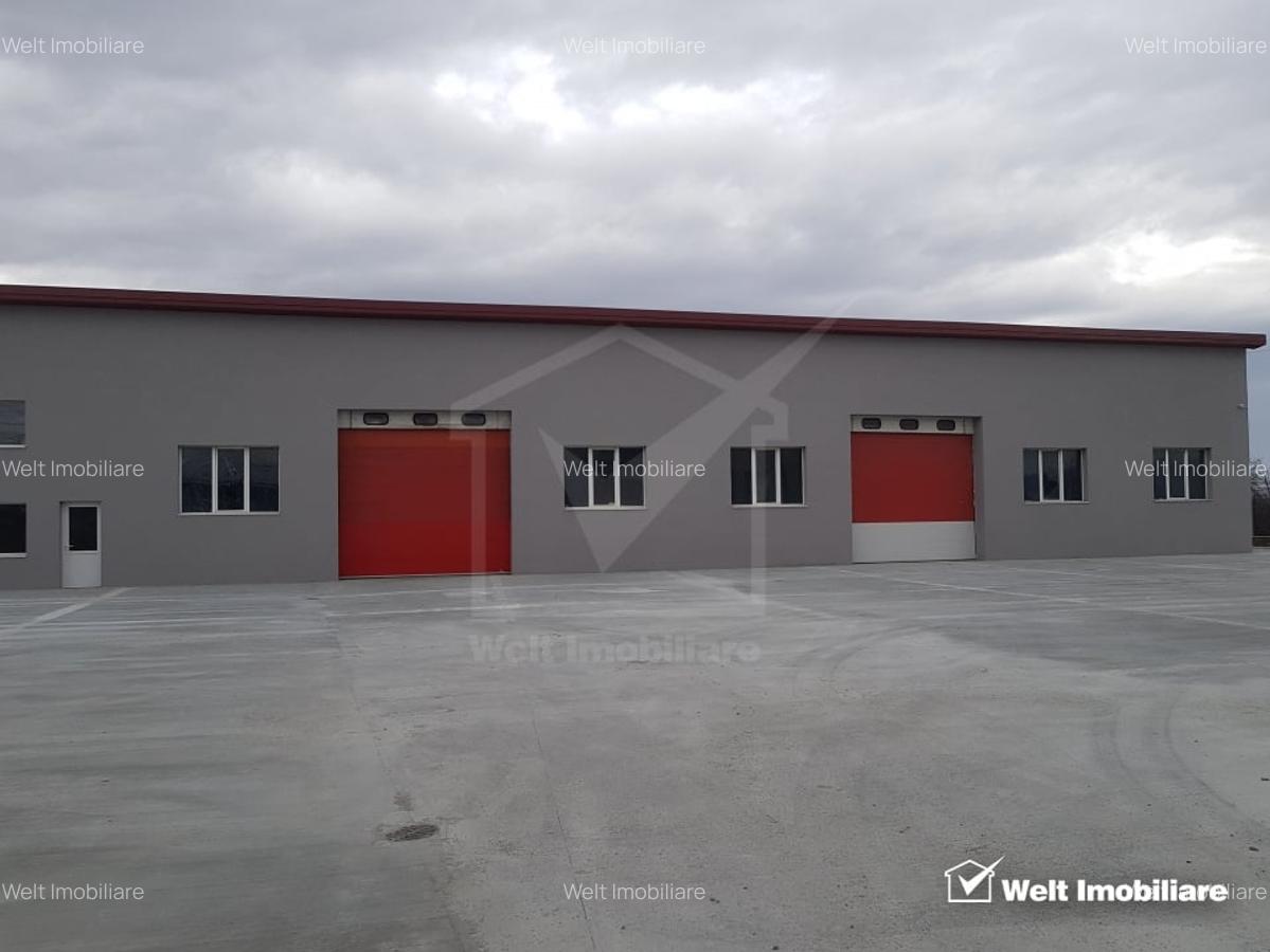 Doua hale industriale 1906mp, curte libera 2800mp, Someseni - 1
